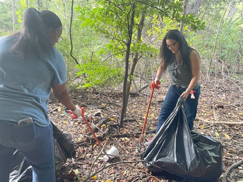 Park clean up